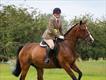 Equestrian Jobseeker Profile Photo