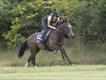 Equestrian Jobseeker Profile Photo