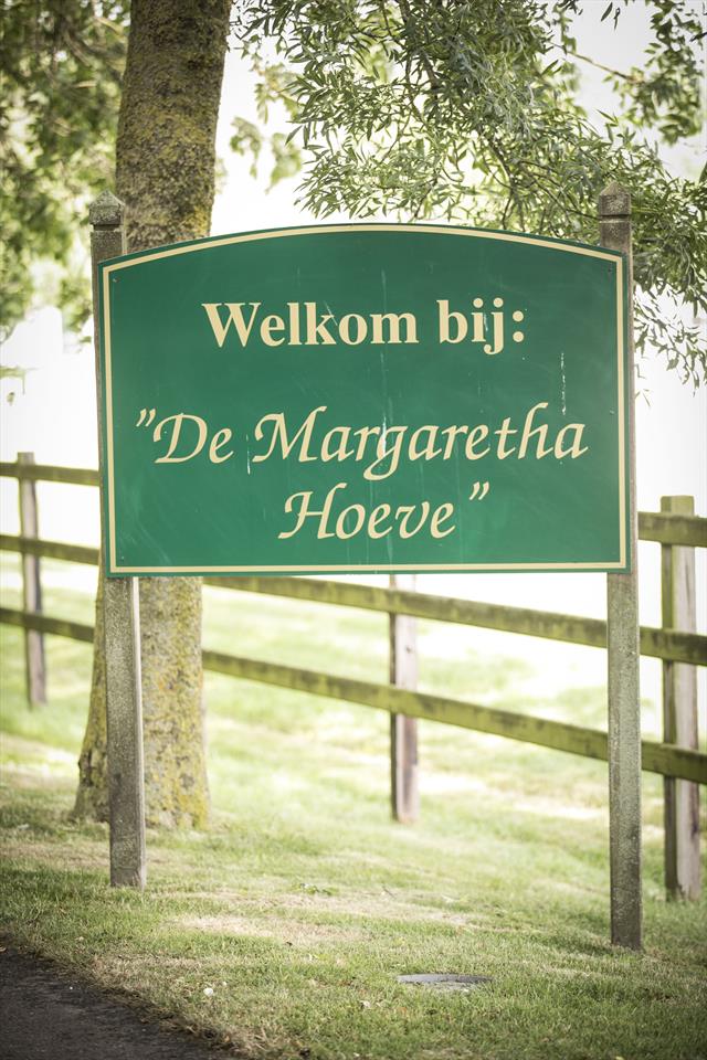 Equestrian Employer Photo: