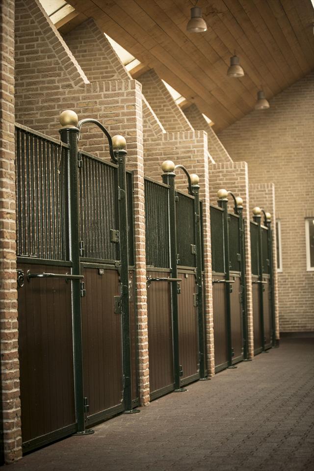 Equestrian Employer Photo: