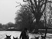 Equestrian Jobseeker Profile Photo