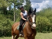 Equestrian Jobseeker Profile Photo