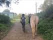 Equestrian Jobseeker Profile Photo