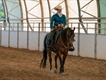 Equestrian Jobseeker Profile Photo