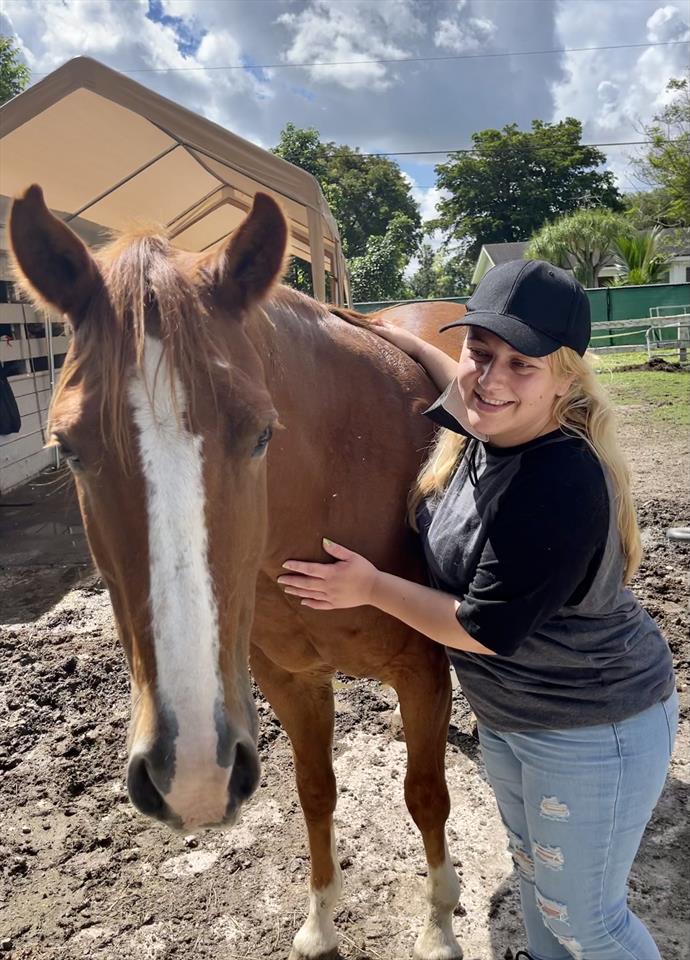 Equestrian Jobseeker Photo: