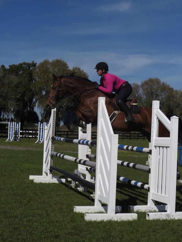 Equestrian Jobseeker Photo: