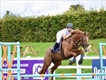 Equestrian Jobseeker Profile Photo