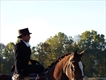 Equestrian Jobseeker Profile Photo