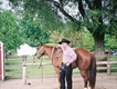 Equestrian Jobseeker Profile Photo