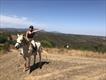 Equestrian Jobseeker Profile Photo