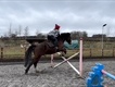 Equestrian Jobseeker Profile Photo