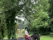 Equestrian Jobseeker Profile Photo