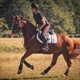 Equestrian Jobseeker Profile Photo