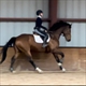 Equestrian Jobseeker Profile Photo