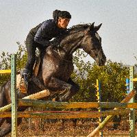 Equestrian Jobseeker Profile Photo