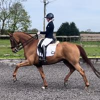 Equestrian Jobseeker Profile Photo