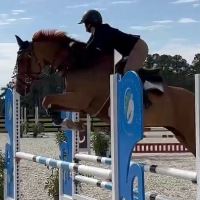 Equestrian Jobseeker Profile Photo