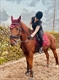 Equestrian Jobseeker Profile Photo