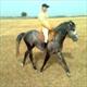 Equestrian Jobseeker Profile Photo