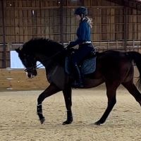 Equestrian Jobseeker Profile Photo