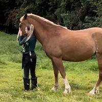 Equestrian Jobseeker Profile Photo