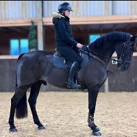 Equestrian Jobseeker Profile Photo