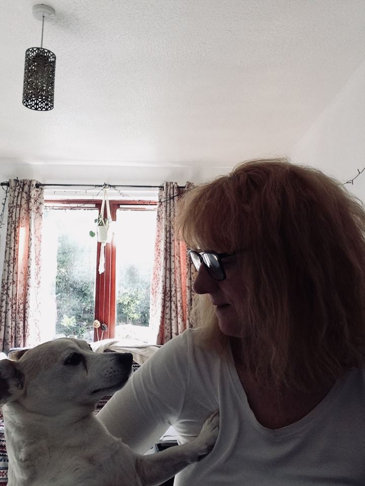 Equestrian Jobseeker Photo: