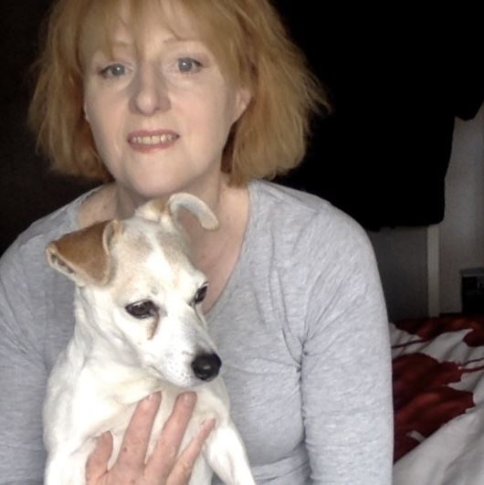 Equestrian Jobseeker Photo: