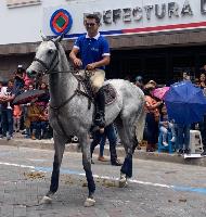 Equestrian Jobseeker Profile Photo