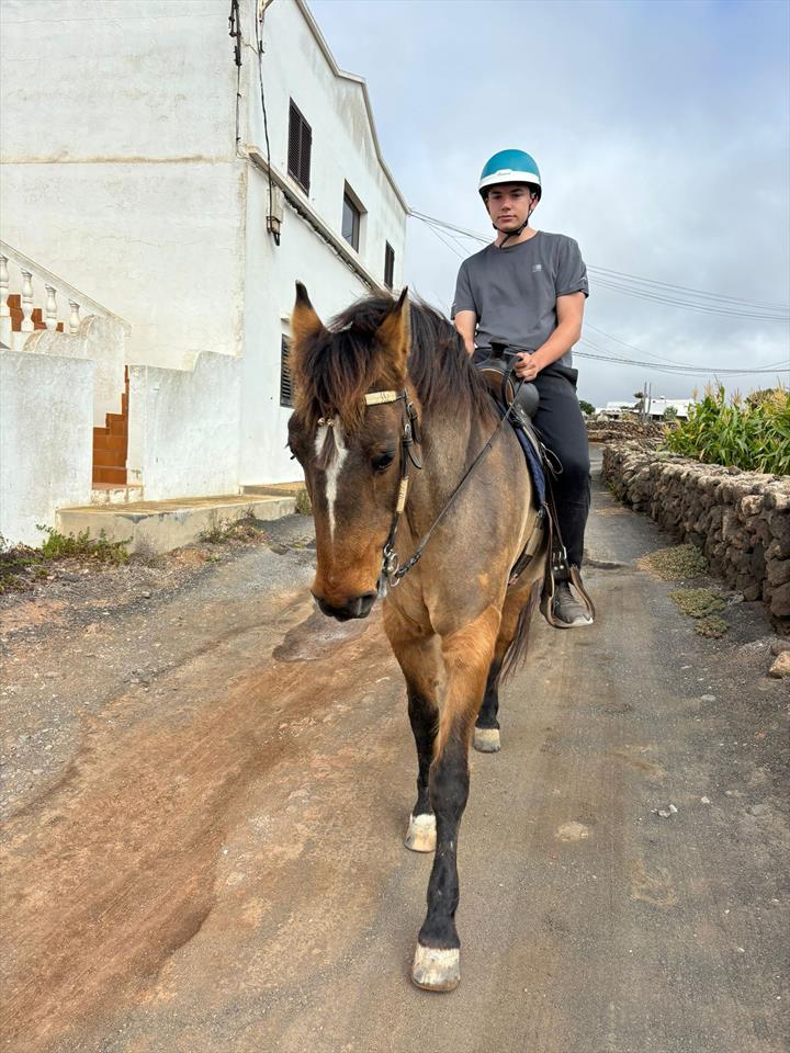 Equestrian Jobseeker Photo: