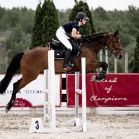 Equestrian Jobseeker Profile Photo