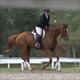 Equestrian Jobseeker Profile Photo