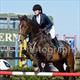 Equestrian Jobseeker Profile Photo
