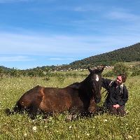 Equestrian Jobseeker Profile Photo