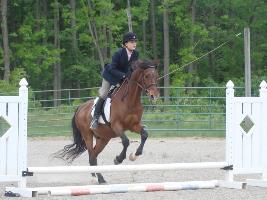 Equestrian Jobseeker Profile Photo