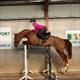 Equestrian Jobseeker Profile Photo