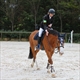 Equestrian Jobseeker Profile Photo