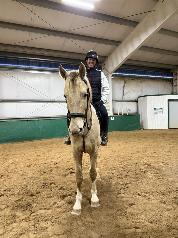 Equestrian Jobseeker Photo: