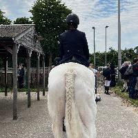 Equestrian Jobseeker Profile Photo