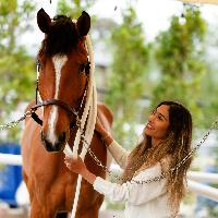 Equestrian Jobseeker Profile Photo