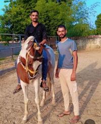 Equestrian Jobseeker Profile Photo