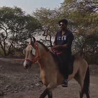Equestrian Jobseeker Profile Photo