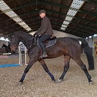 Equestrian Jobseeker Profile Photo