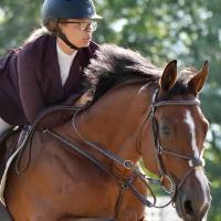Equestrian Jobseeker Profile Photo