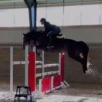 Equestrian Jobseeker Profile Photo