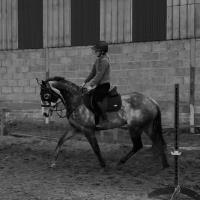 Equestrian Jobseeker Profile Photo
