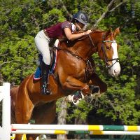 Equestrian Jobseeker Profile Photo