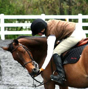 Equestrian Jobseeker Profile Photo
