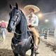 Equestrian Jobseeker Profile Photo