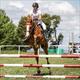 Equestrian Jobseeker Profile Photo